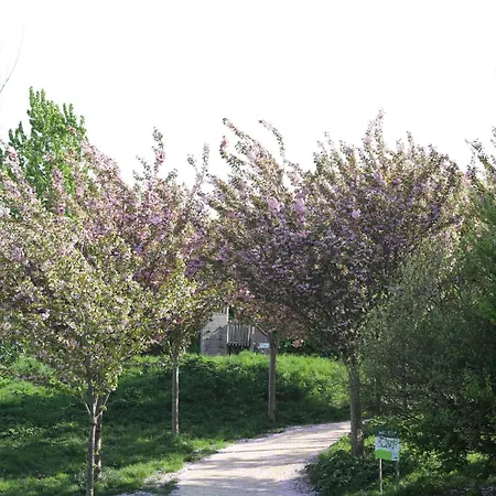 Luxe tent Safari Premium Nieuwe Wetering