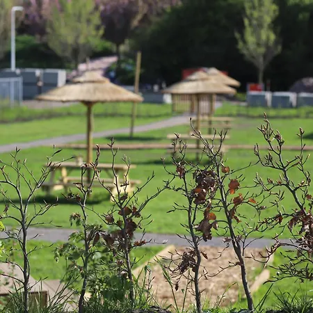 Campo de lujo Safari Premium