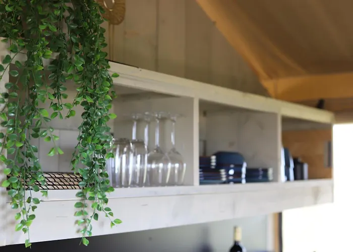 Safari Premium * Nieuwe Wetering