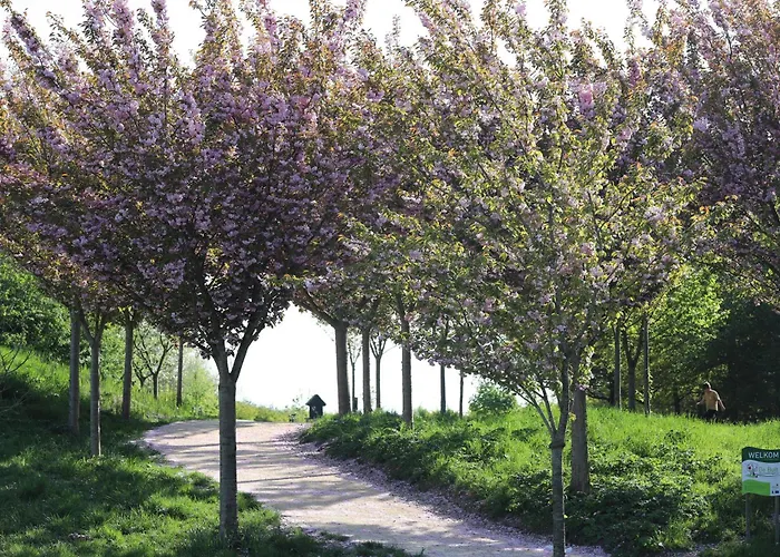 Safari Premium 豪华帐篷 Nieuwe Wetering